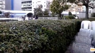 带仙气儿的网红脸少女激情做爱